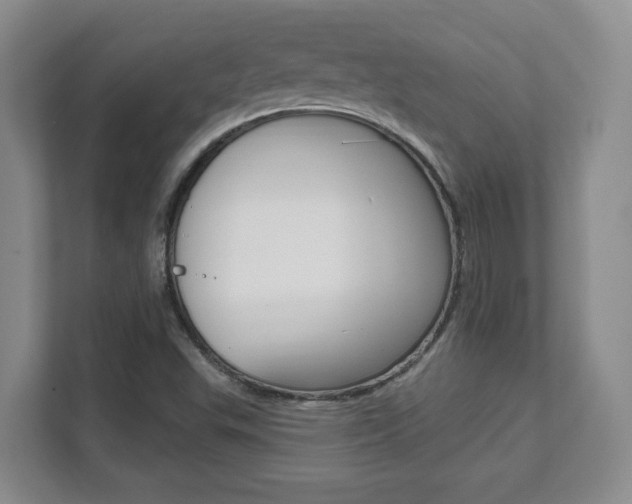 X0000112081503200908041000