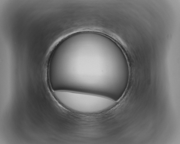 X0000112081504200908041000