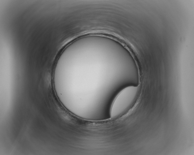 X0000112081505200908041000