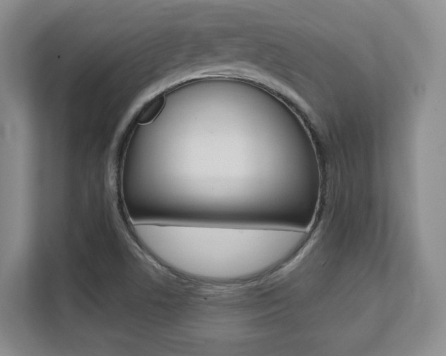 X0000112081506200908041000