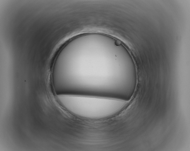 X0000112081507200908041000