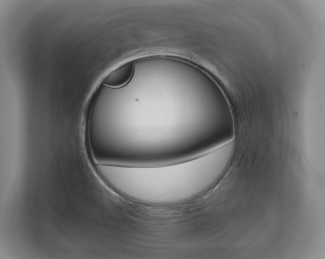 X0000112081508200908041000