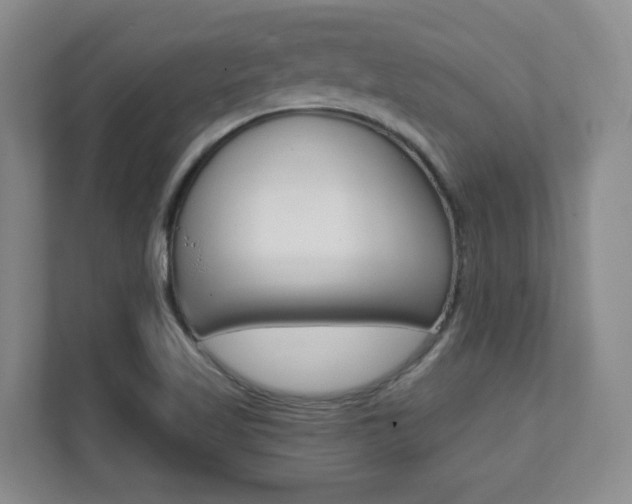X0000112081509200908041000