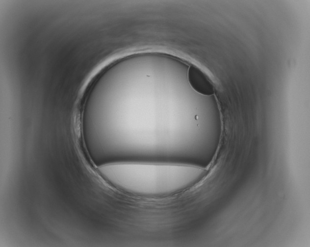 X0000112081510200908041000