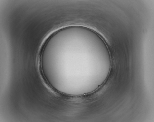 X0000112081511200908041000