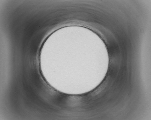 X0000112081514200908041000