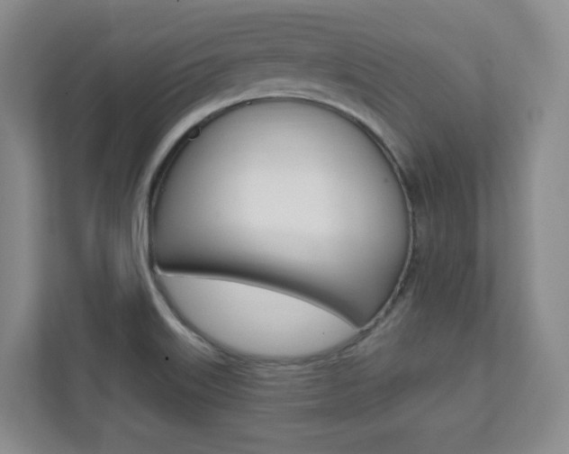 X0000112081515200908041000