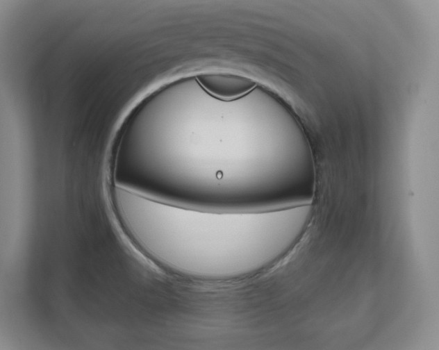 X0000112081518200908041000