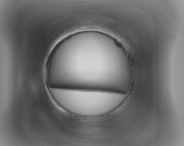X0000112081519200908041000