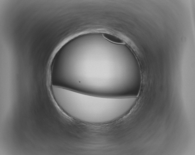 X0000112081520200908041000