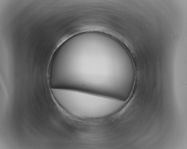 X0000112081521200908041000