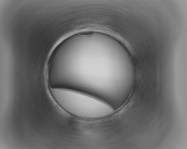 X0000112081522200908041000