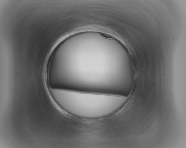 X0000112081523200908041000