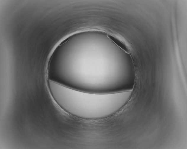 X0000112081524200908041000