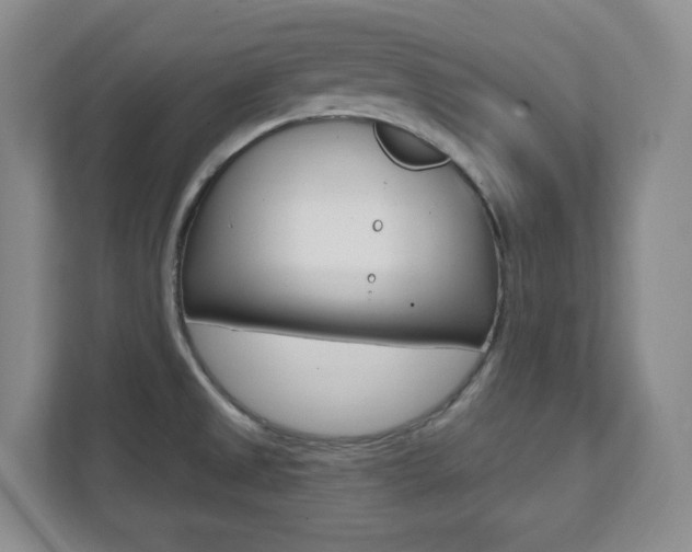 X0000112081525200908041000