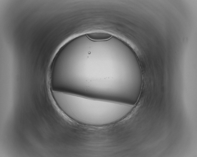 X0000112081526200908041000