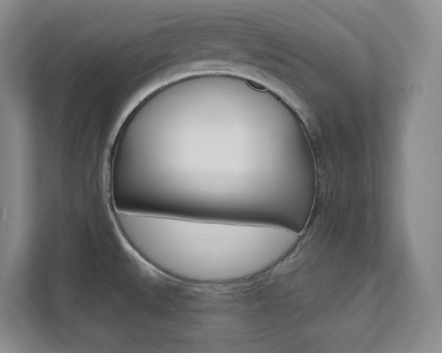 X0000112081527200908041000