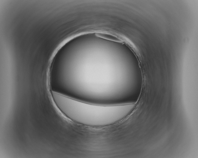 X0000112081528200908041000