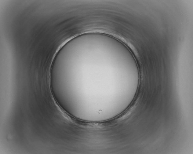 X0000112081529200908041000