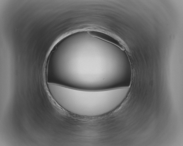 X0000112081530200908041000