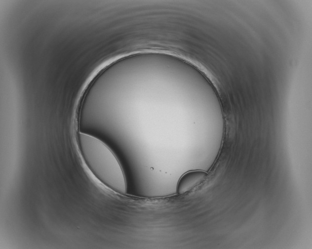 X0000112081531200908041000