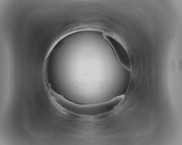 X0000112081532200908041000