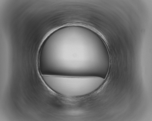 X0000112081533200908041000