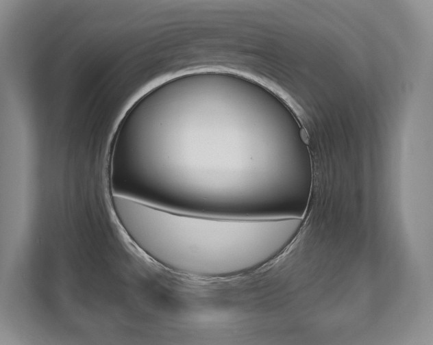 X0000112081534200908041000