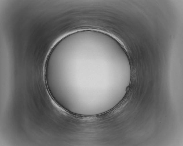 X0000112081535200908041000
