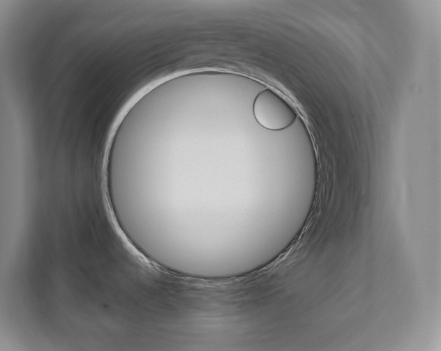 X0000112081536200908041000