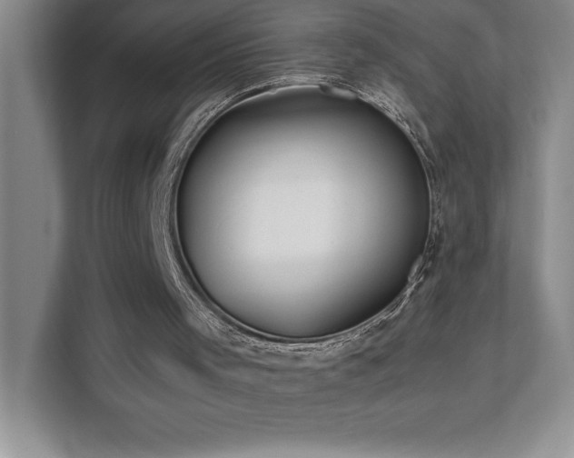 X0000112080001200908041303