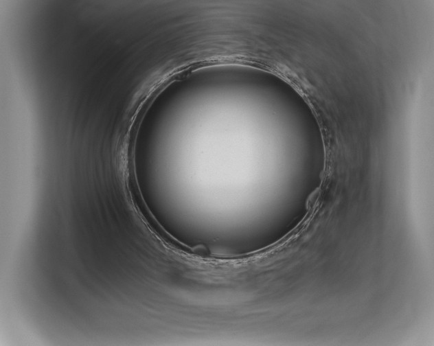X0000112080002200908041303