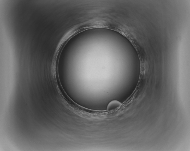 X0000112080004200908041303