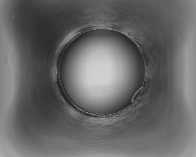 X0000112080005200908041303