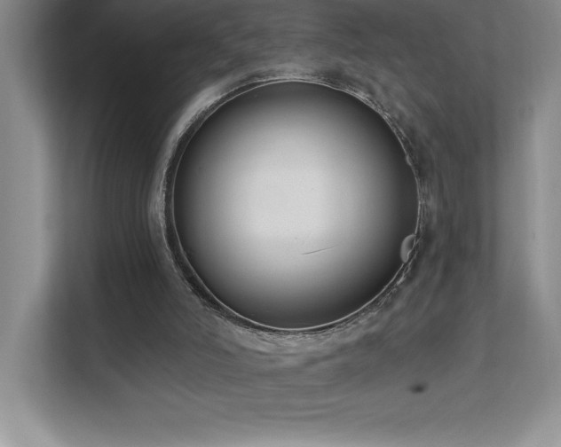X0000112080006200908041303