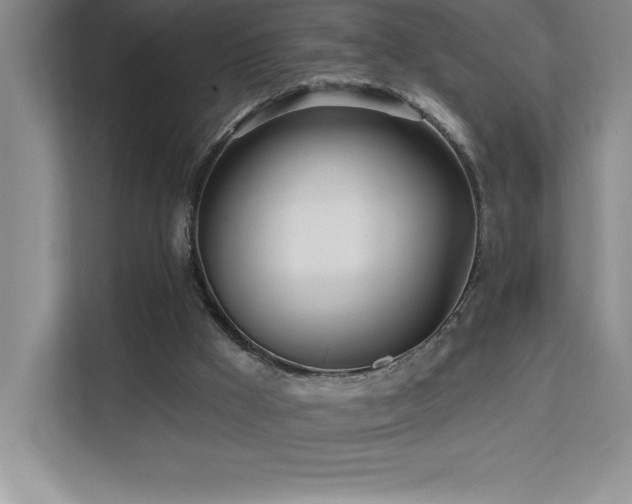 X0000112080009200908041303
