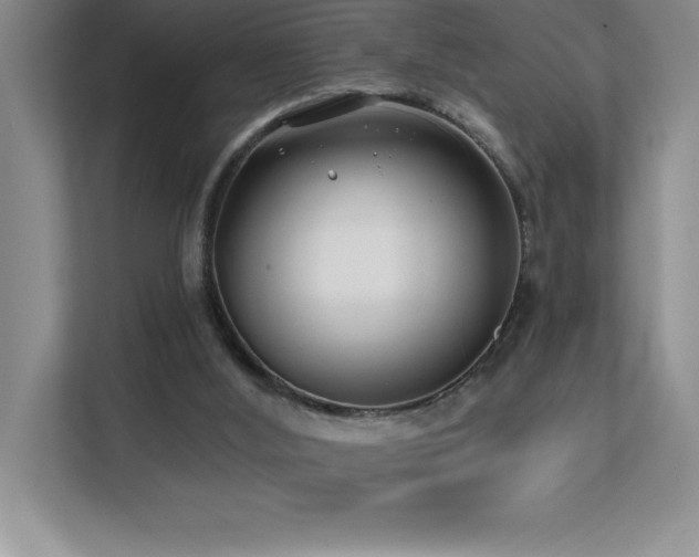 X0000112080012200908041303