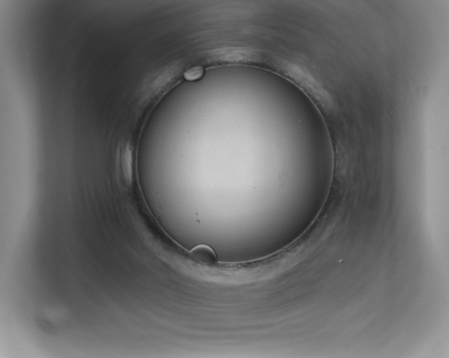 X0000112080014200908041303