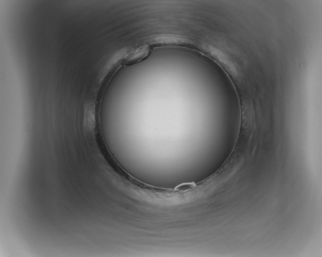 X0000112080015200908041303