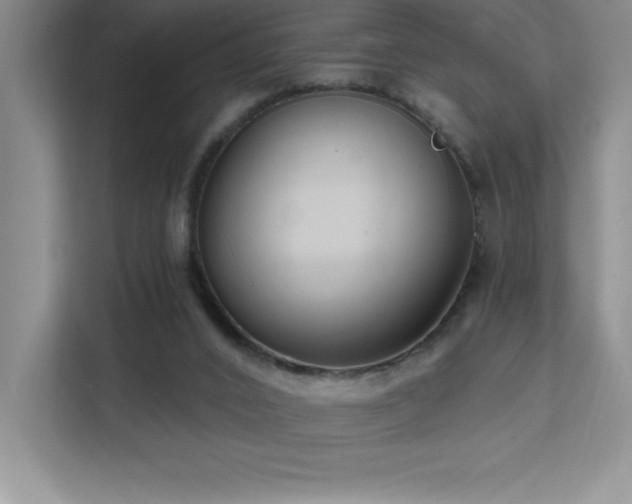 X0000112080016200908041303