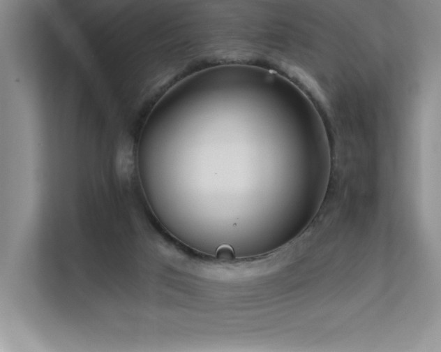 X0000112080017200908041303