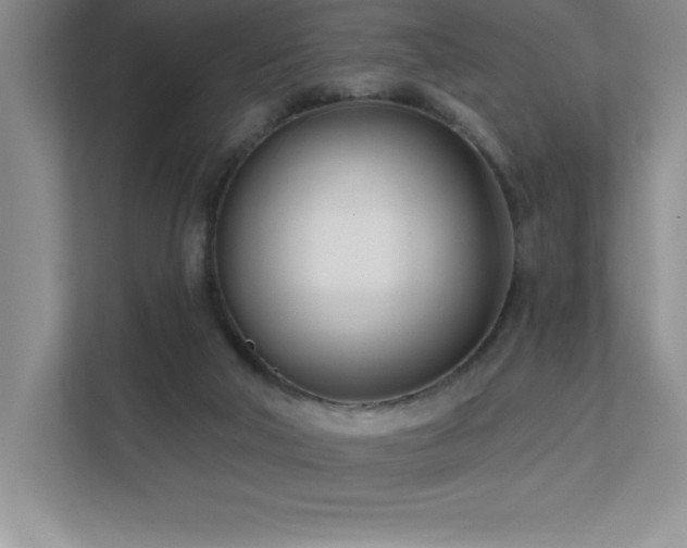 X0000112080018200908041303