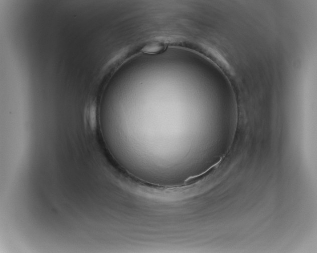 X0000112080019200908041303