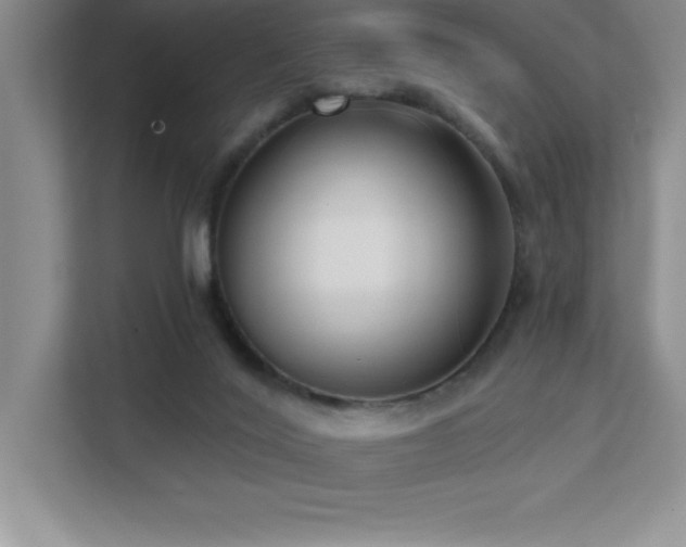 X0000112080020200908041303