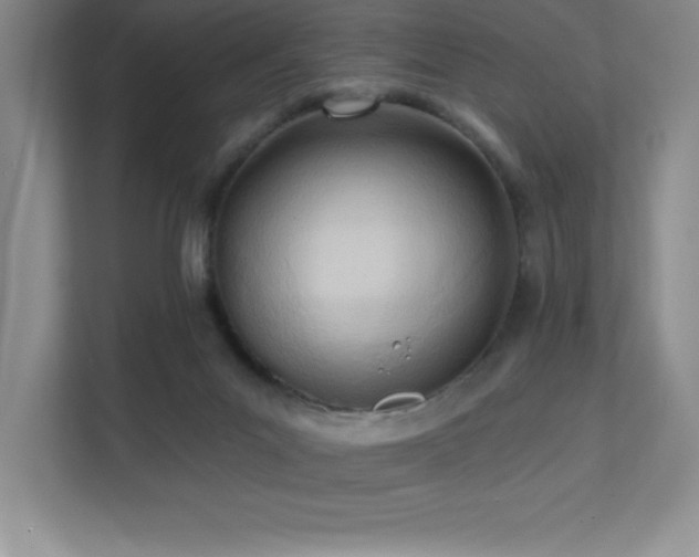X0000112080023200908041303