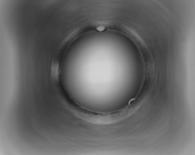 X0000112080024200908041303