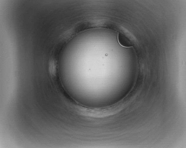 X0000112080026200908041303