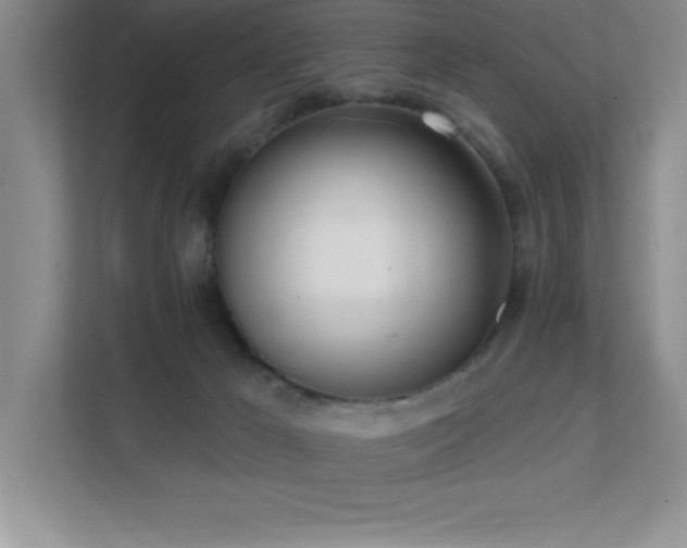 X0000112080029200908041303