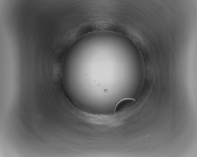X0000112080034200908041303