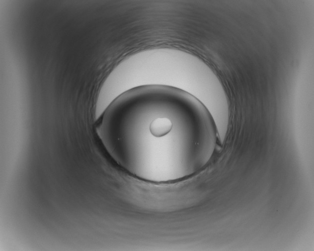 X0000112080039200908041303